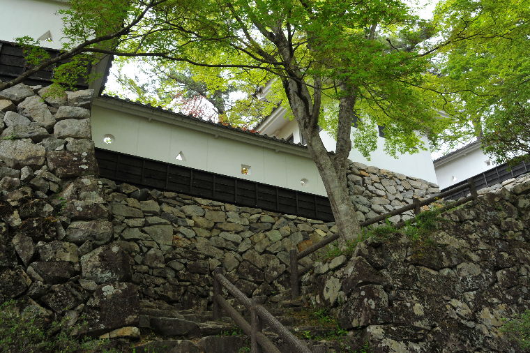 pict0069.jpg