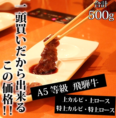 焼肉 上・特上セット 500g
