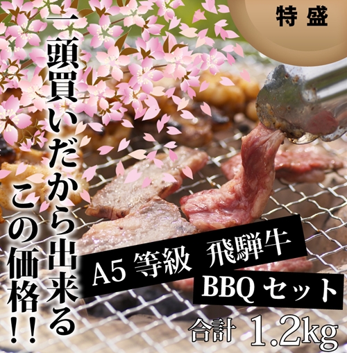お花見バーベキューセット 特盛1.2kg