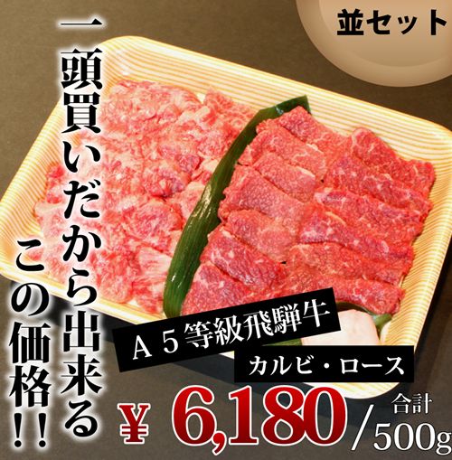 飛騨牛 焼肉セット 並 500g