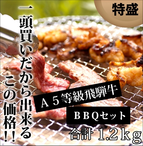 飛騨牛バーベキューセット 特盛1.2kg