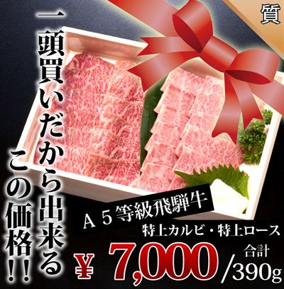飛騨牛　焼肉ギフト（S）　特選カルビ 特選ロース　7000円
