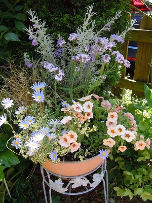 夏の寄せ植えにチェンジ Garden 花 水 季 楽天ブログ