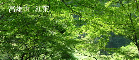 高雄山紅葉
