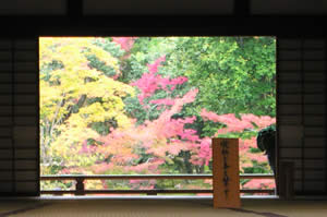 天龍寺の紅葉