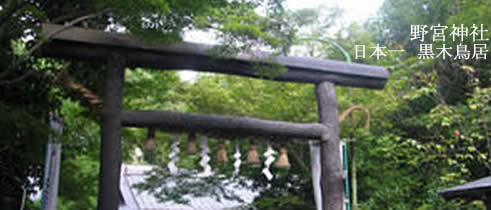 野宮神社黒木の鳥居