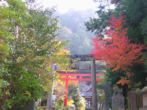 大豊神社の紅葉