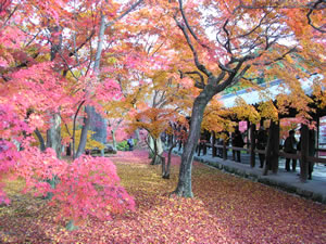 東福寺