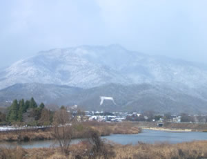 嵐山 雪の鳥居形