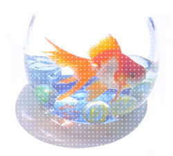 ゎくゎく(○ﾟε＾○)ν♪