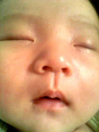 Image300.jpg