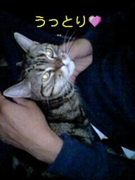 2007-11-18 14:38:20