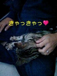 2007-11-18 14:38:20