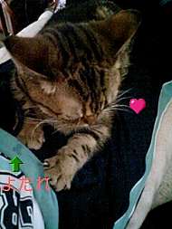 img22117.jpg