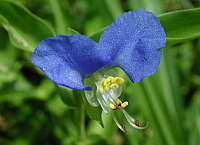 img46778.jpg