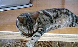 img21420.jpg