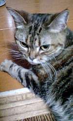 img85188.jpg
