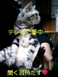 2007-12-06 01:00:47