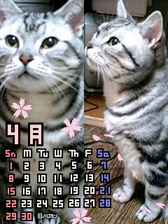 070306_2221~0002-0001-0001.jpg