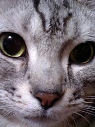 2007-07-23 03:10:56