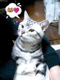 2007-12-06 01:00:47