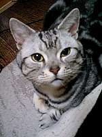 img56710.jpg