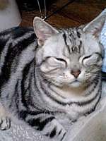 img69777.jpg