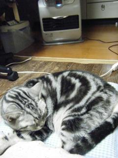 DSCF0102.JPG