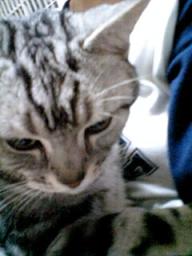 2007-10-22 01:35:59