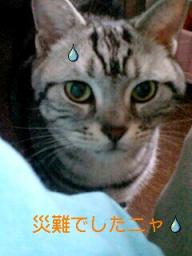 2007-11-24 14:06:22