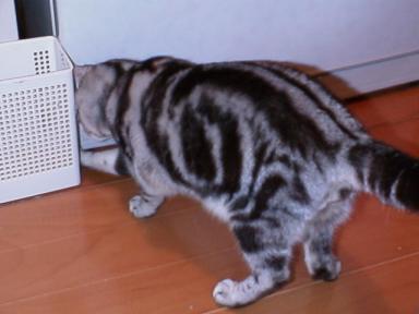 blog_sagashimono-02.jpg