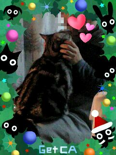 抱っこ~ (=・ω・=)