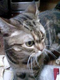 2007-10-16 01:49:51