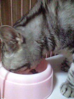 DSCF8916.JPG