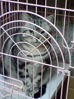070226_0224~0001.jpg