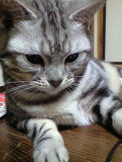 んっ?(=・ω・=)
