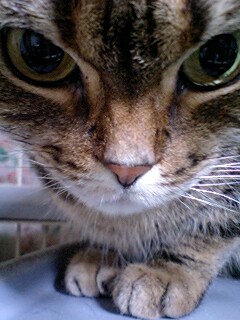 070226_0232~0001.jpg