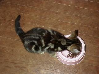 karen_Rdl00085.jpg