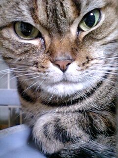 070226_0245~0001.jpg