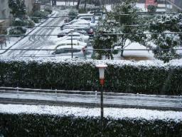 2008-02-03 09:11:19