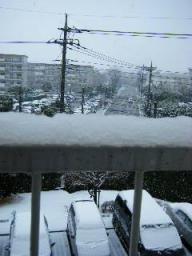 2008-02-03 09:11:19