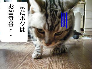 DSCF2957_pa.JPG