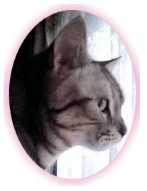 img78366002.jpg