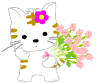 houmonnyan.gif