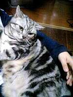 img30007.jpg