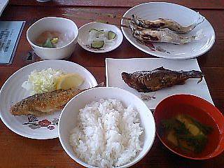 img24377.jpg