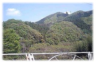 img82213.jpg