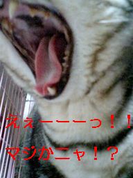 070318_001.jpg