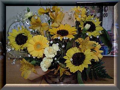 img51458.jpg