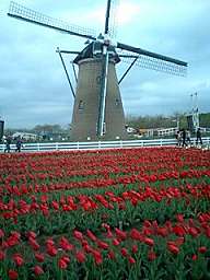 img70142.jpg